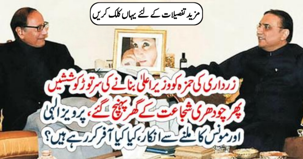 zardari shujat